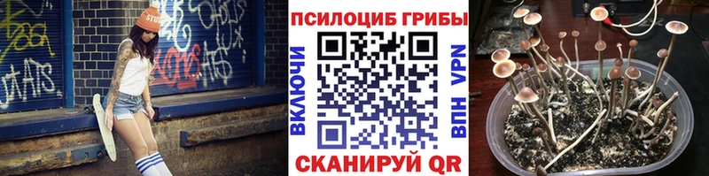 Галлюциногенные грибы Psilocybine cubensis  Горячеводский 